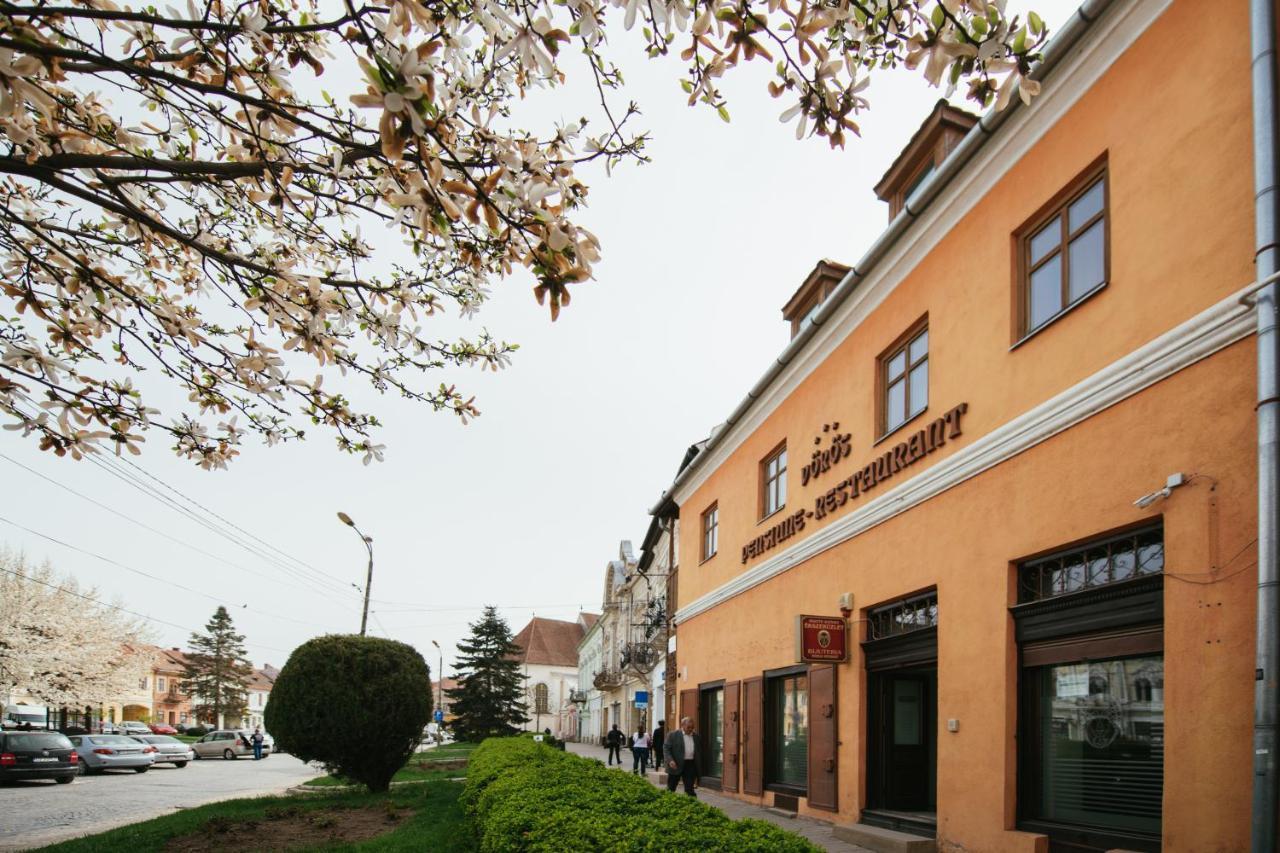 Voeroes Guest House Tirgu Secuiesc Exterior photo