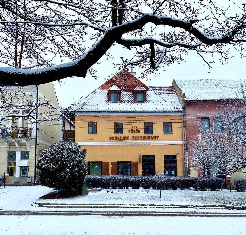 Voeroes Guest House Tirgu Secuiesc Exterior photo